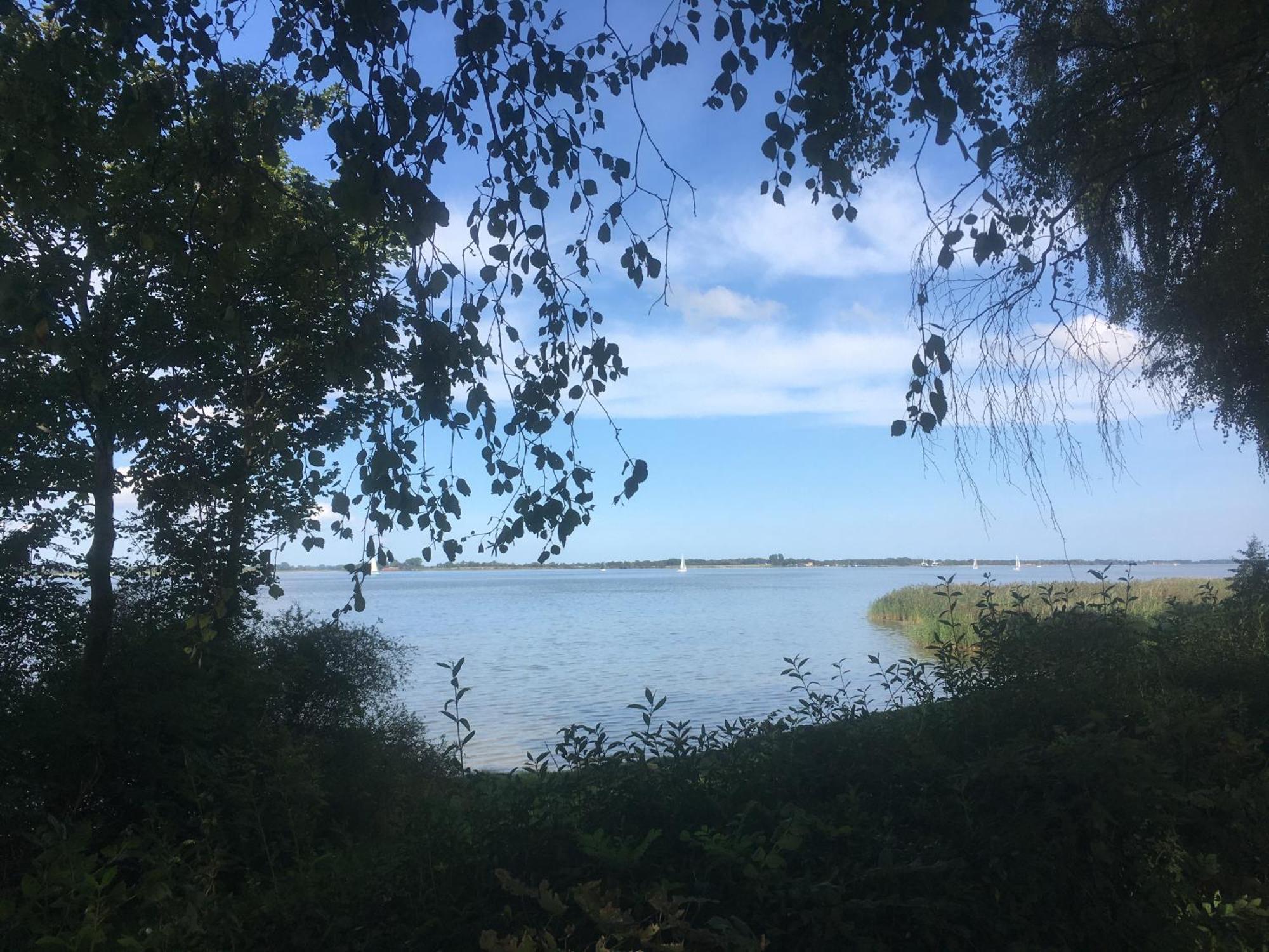 Ferienwohnung Am Strelasund Sundhagen-Niederhof Экстерьер фото